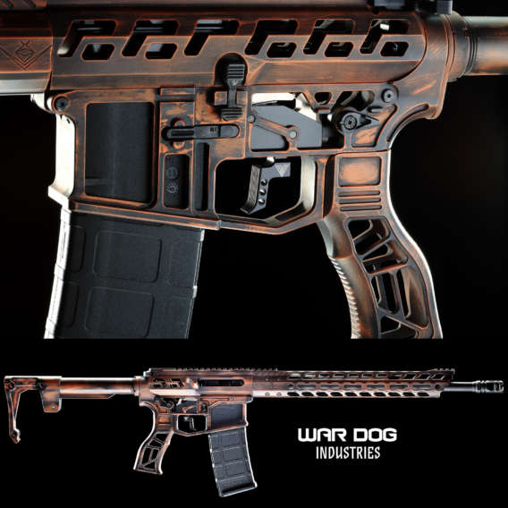 skeletonized AR 15 rifle for firearm webinars